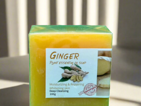 Ginger Plant Essential Soap 100g Hot on Sale