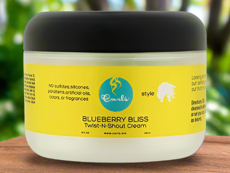 Curls Blueberry Bliss Twist N Shout Cream 8 oz Discount