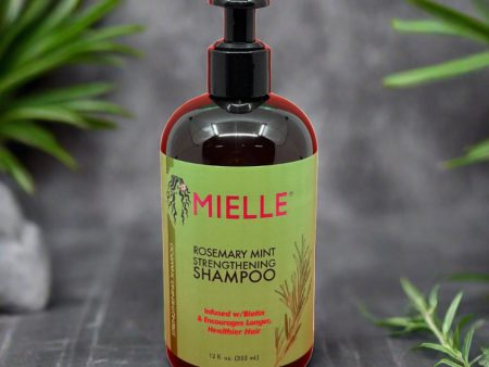 Mielle Rosemary mint Strengthening Shampoo 355ml Online now