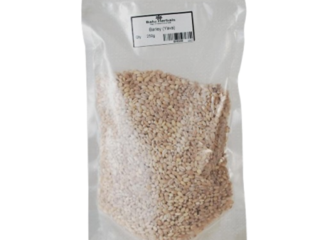 Balu Herbals Barley (Yava) Cheap