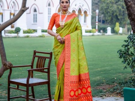 Vishnu Weaves Women s Lime Green Patola Banarasi Silk Meenakari Zari Woven Saree with Blouse Online