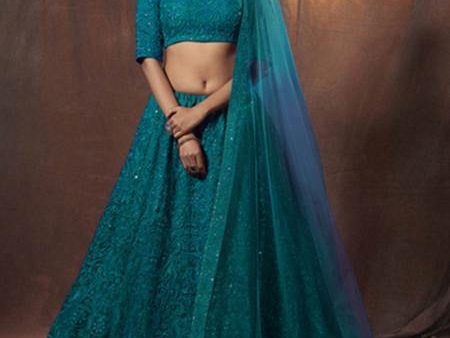 Myra Beautiful Rama Embroidered Soft Net Lehenga Hot on Sale