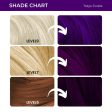 Anveya Semi Permanent Hair Color - Tokyo Purple Discount