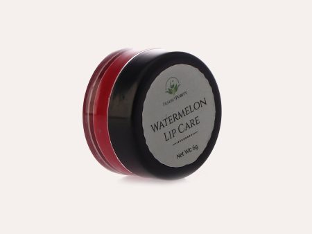 PrakritPurity Watermelon Lip Care Online Sale