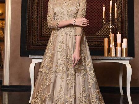 Myra Beige Net Embroidery Beautiful Gown Fashion