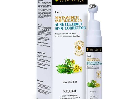 Soulflower Niacinamide 2% Face Serum for Acne Corrector & Marks Online