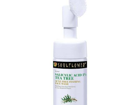 Soulflower 2% Salicylic Acid Acne Free Foaming Face Wash For Discount